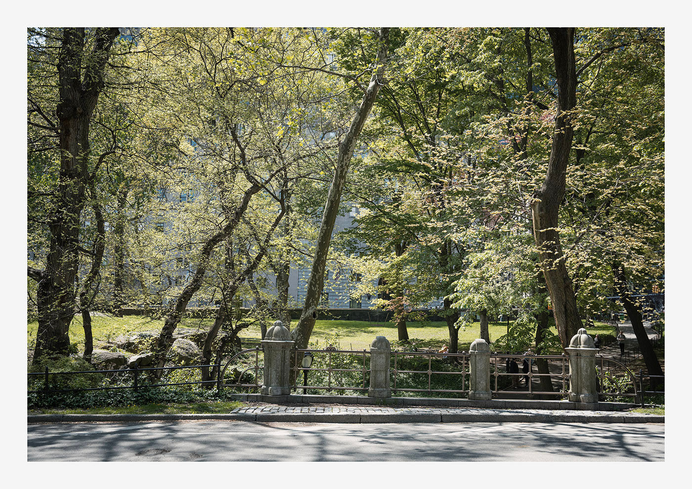 Central Park, New York, USA - UNFRAMED