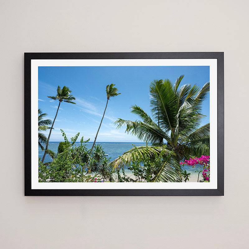 Thumbnail: Palms and sea, Fiji - FRAMED