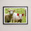 Thumbnail: SHEEP AND PIG, NZ - FRAMED