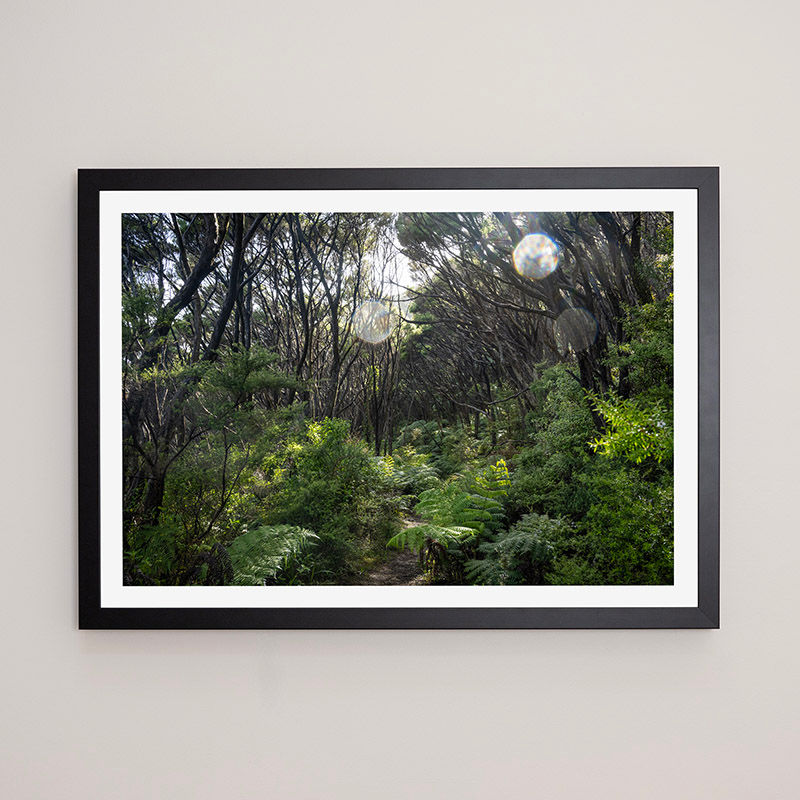 Thumbnail: GREAT BARRIER ISLAND 7, NZ - FRAMED