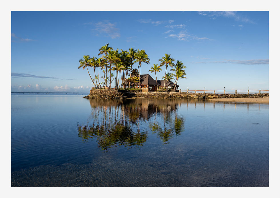 Coral Coast, Fiji, palms - UNFRAMED