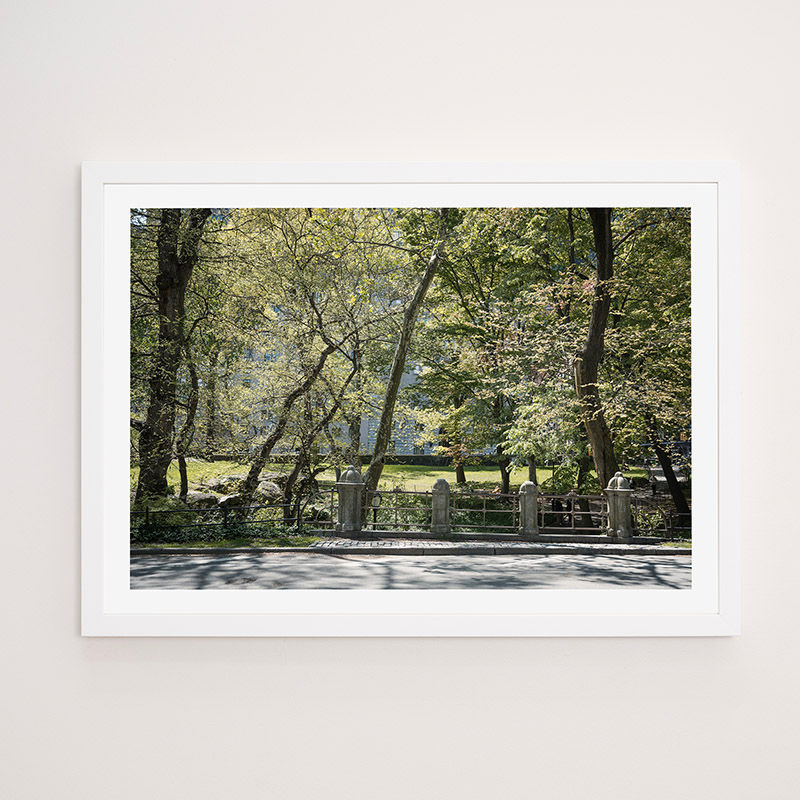 Thumbnail: Central Park, New York, USA - FRAMED