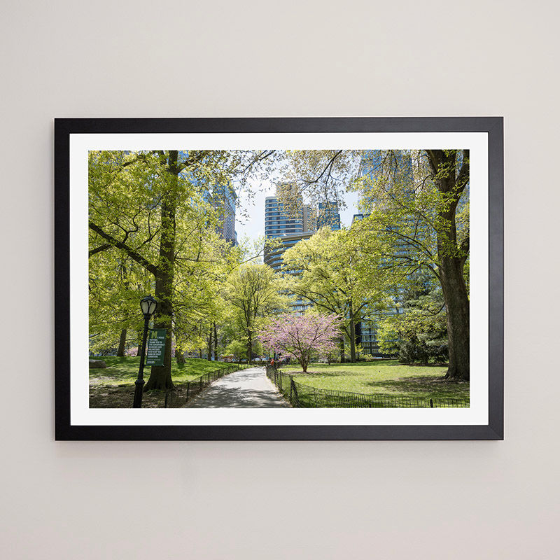 Thumbnail: Central Park 2, New York, USA - FRAMED