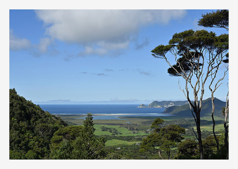 Great Barrier Island 1, NZ – UNFRAMED