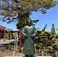 宮城県岩沼市　竹駒神社　小野篁公銅像　納入実績.jpeg