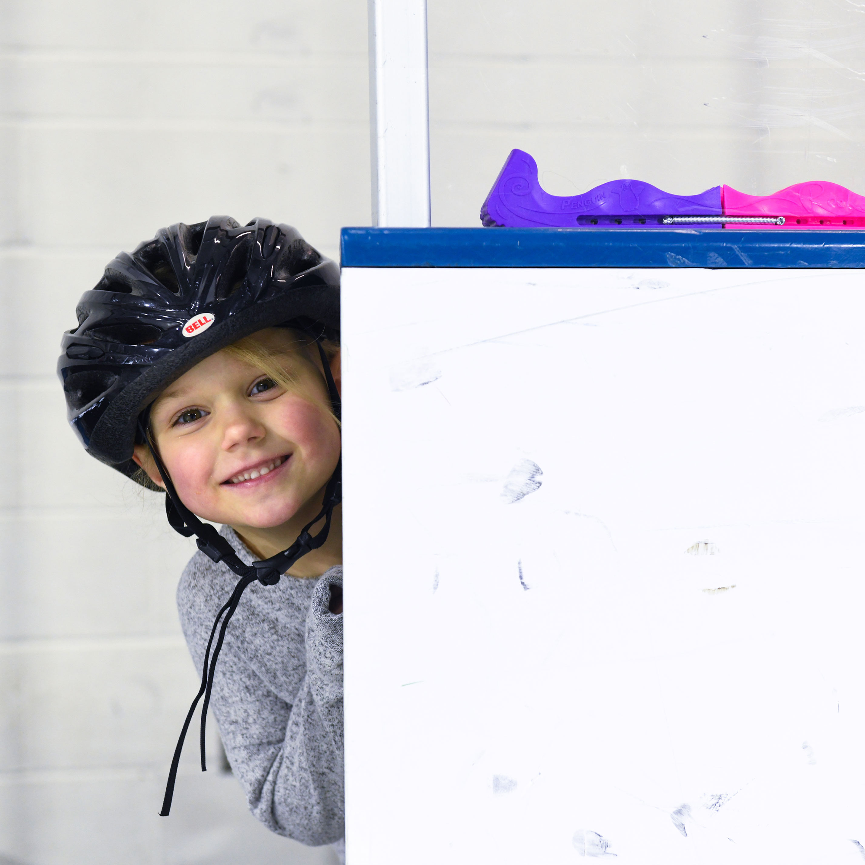 Learn to Skate USA Official Logo