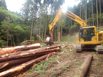 DSCN8072.jpg