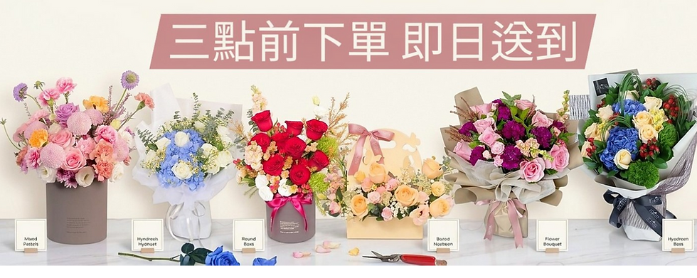 transparent-Photoroom (7).png