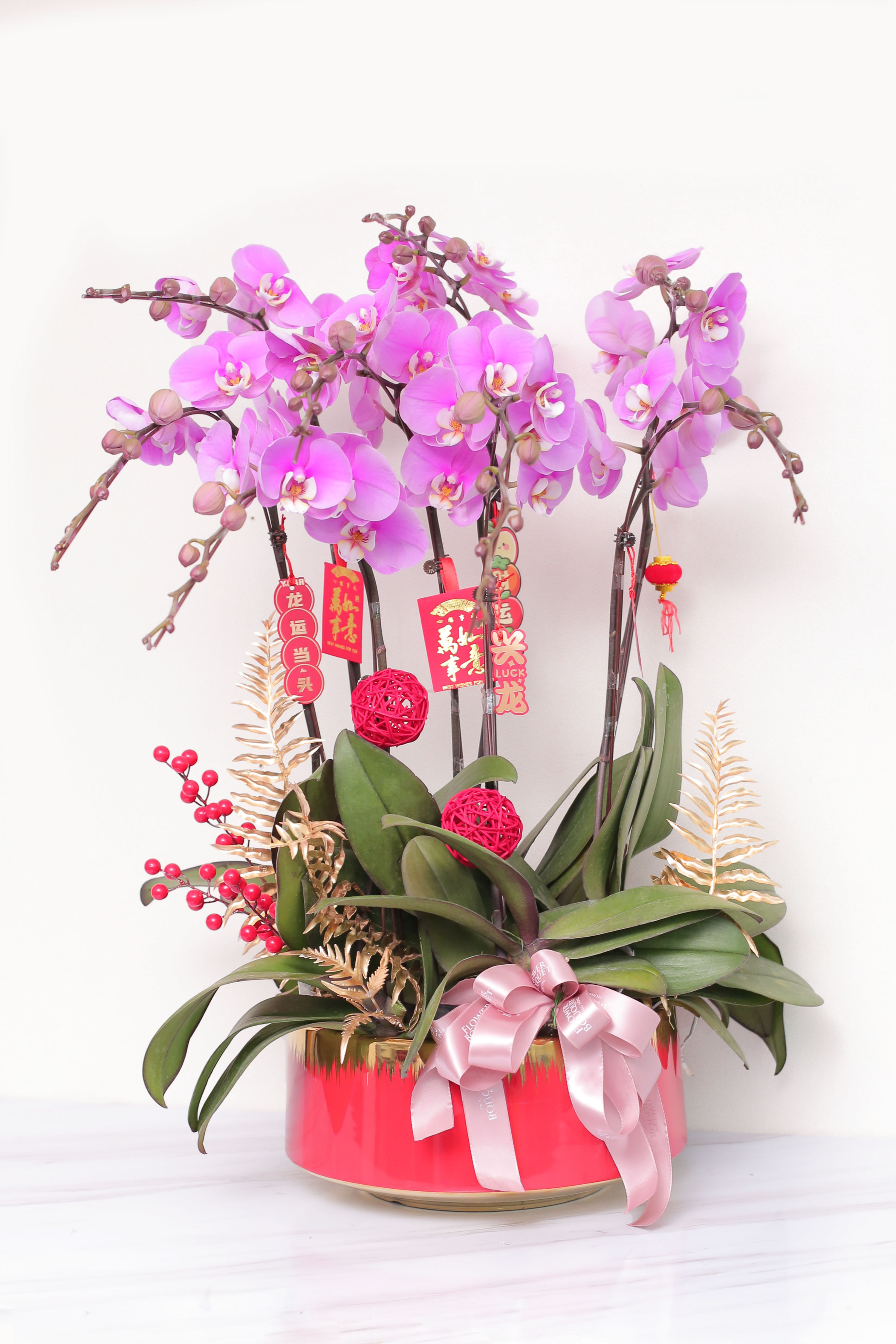 Same Day Delivery – 6-8 stems Orchid (Light Pink)