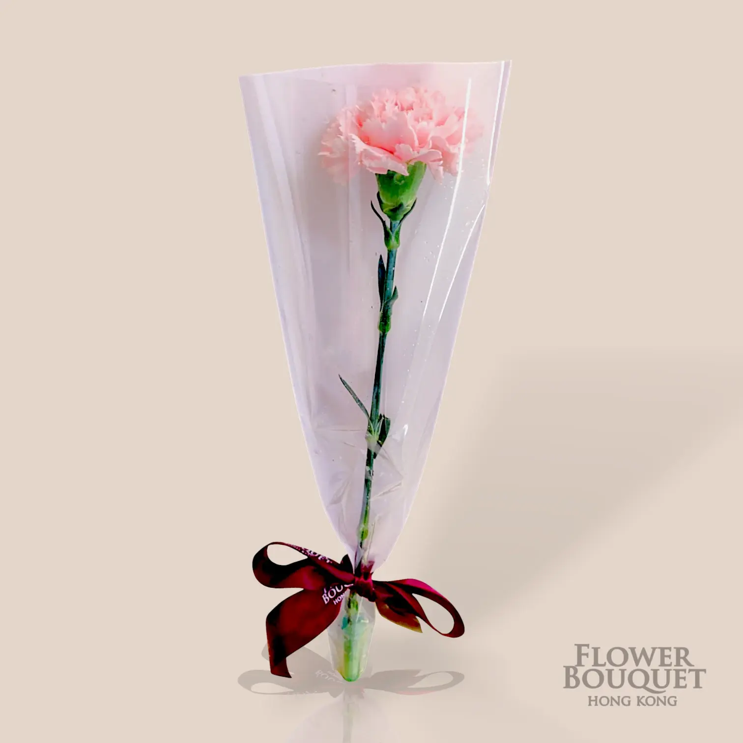 母親節 單支 康乃馨 連包裝