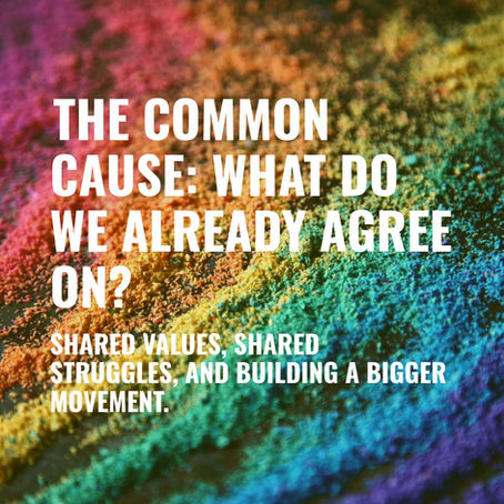 The Common Cause: What Do We Already Agree On?