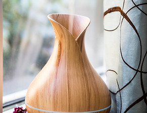 pro shot diffuser.jpg