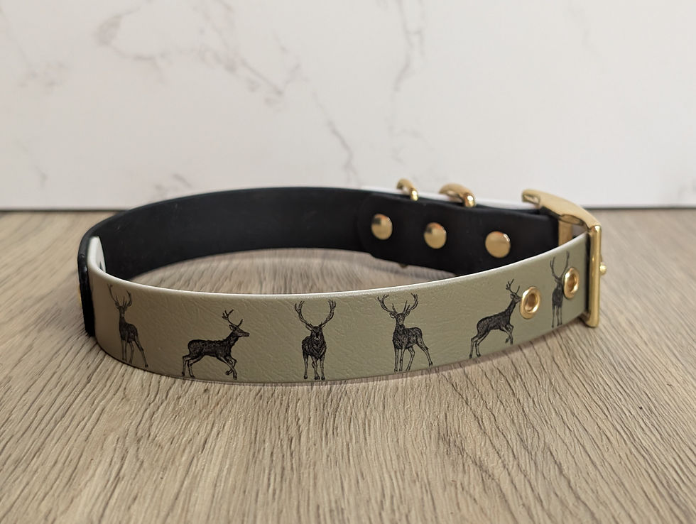 Thumbnail: Stag BioThane Collar - 25mm - Two Tone