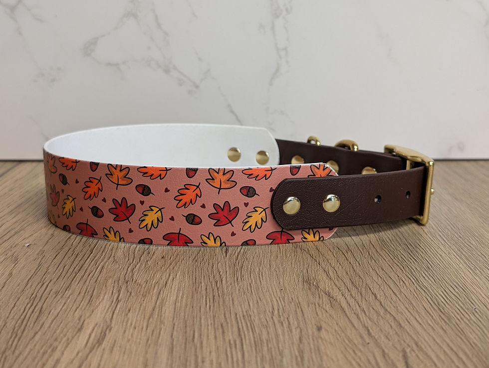 Thumbnail: Autumn Leaves BioThane Collar - 25mm - Hound Style