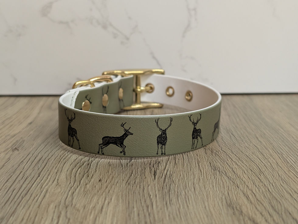 Thumbnail: Stag BioThane Collar - 25mm - Essential