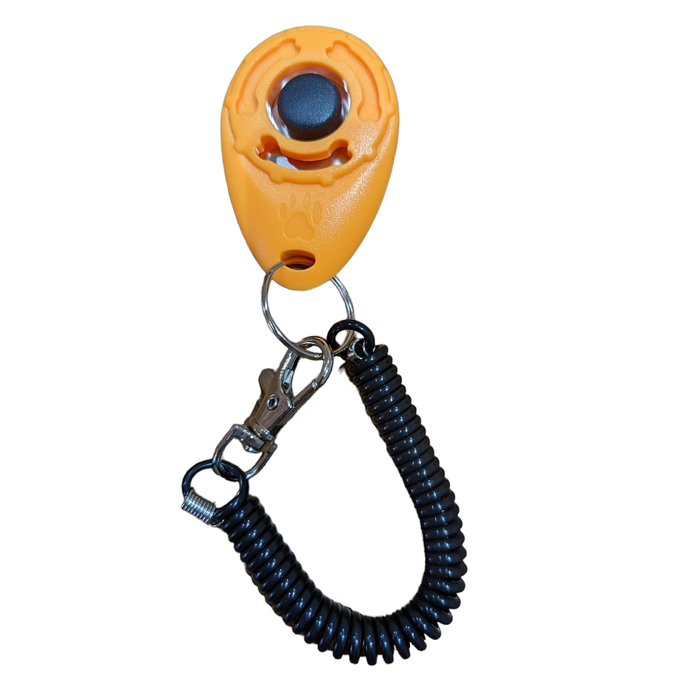Thumbnail: Dog Training Clicker
