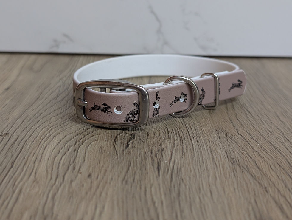 Thumbnail: Hare BioThane Collar - 16mm - Essential