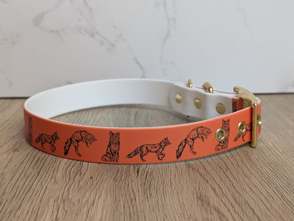 Thumbnail: Fox BioThane Collar - 25mm - Essential