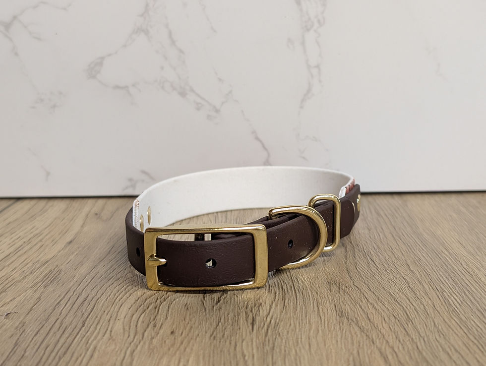 Thumbnail: Autumn Leaves BioThane Collar - 19mm - Hound Style