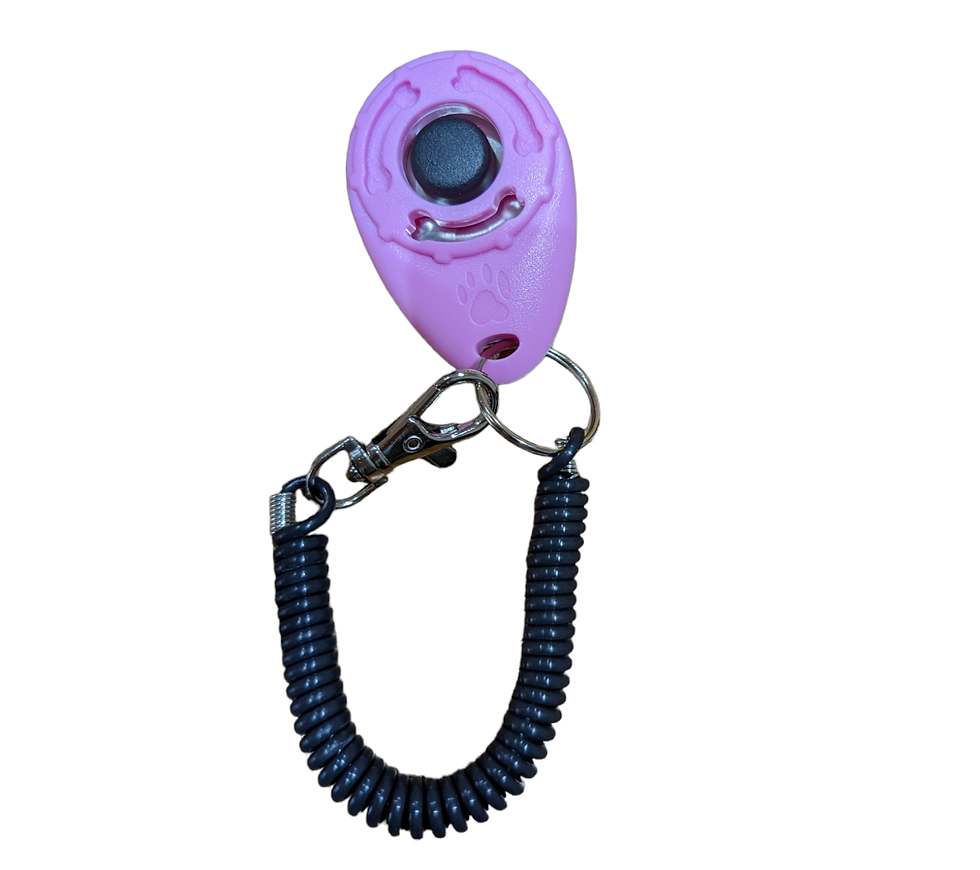 Thumbnail: Dog Training Clicker