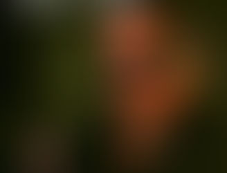 'Dirty Little Secret': The alluring new single from Kings of Carlisle