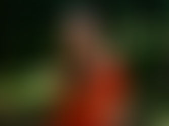 New Charity Single from Maaike Siegerist 'Call of the Last Wildcat'