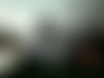 Snowdropping: A Mesmerising New Single from The Lost Gecko