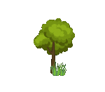 Tree in the wind.gif