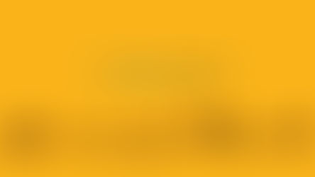 ფინალი: 16 დეკემბერი