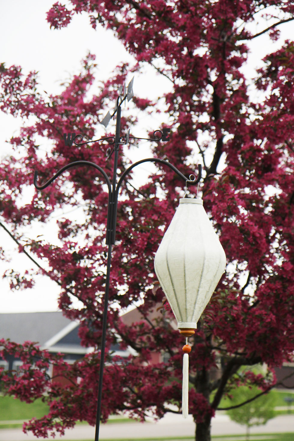 Thumbnail: White Silk Lantern - Oval