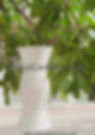 Thumbnail: New Design IA