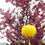 Thumbnail: Yellow Silk Lantern - Round