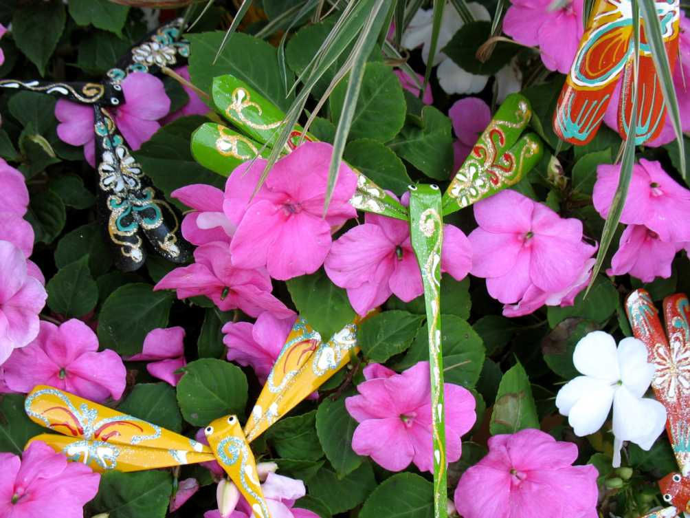 Dragon Fly-Set of Three