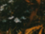 1:1 naturopath consultation for women's hormonal health in Wanaka NZ