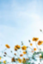 Women's health and naturopathic care for active women in Wanaka NZ