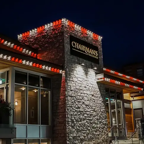 business christmas lights.webp