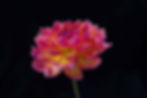 10b