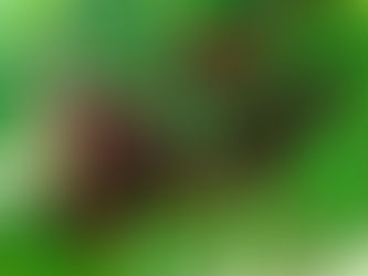 Այս 3 մթերքները թարմացնում են լյարդը և պաշտպանում քաղցկեղից, սակայն քչերը գիտեն այդ մասին