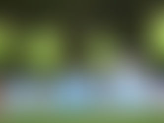 Արսեն Զախարյանը վերսկսել է մարզումներն ընդհանուր խմբի հետ