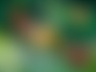 Ջերմաստիճանը կբարձրանա 4-8 աստիճանով. եղանակն առաջիկա օրերին