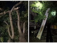 Քամու հետևանքով Երևանի որոշ փողոցներում վնասվել են անձրևատար խողովակներ, թիթեղներ, տապալվել են ծառեր