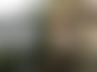 THEY SHOT AT THE WINDOW. THE CHILD SLEEPING UNDER THE WINDOW WAS MIRACULOUSLY SAVED.