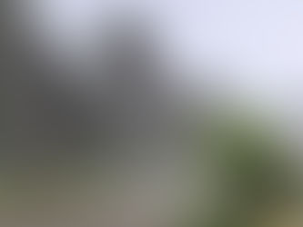 Ֆիլիպիններում մոլեգնում է «Տորաջի» թայֆունը