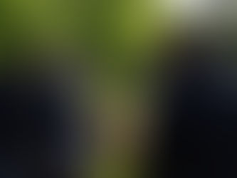 Գնահատում ենք ՀՀ իշխանությունների գործադրած ջանքերը․ Միացյալ Թագավորությունը իր զորակցությունն է հայտնում