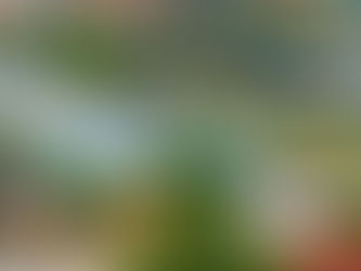 Վրաստանը չի մասնակցի Ստամբուլում «3+3» հարթակի նիստին