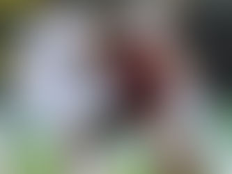 Հյուրերին հաջողվեց առաջ անցնել հաշվի մեջ