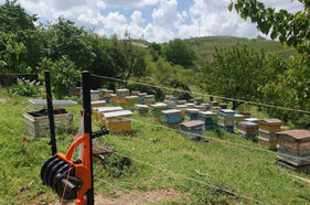 Вива-МТС. зеленые технологии в Гомку (фото)