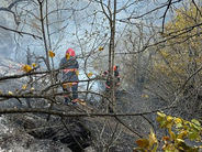 Ծավ գյուղի անտառամերձ հատվածում հրդեհ է, քամու պատճառով առկա է դեպի անտառ տարածման վտանգ
