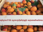 Արտահանողներն ահազանգում են, թե հայկական կողմը խոչընդոտում է դեպի ՌԴ գյուղմթերքի արտահանումը