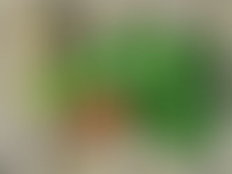 Համեմի 7 օգտակար հատկություն, որի մասին քչերը գիտեն